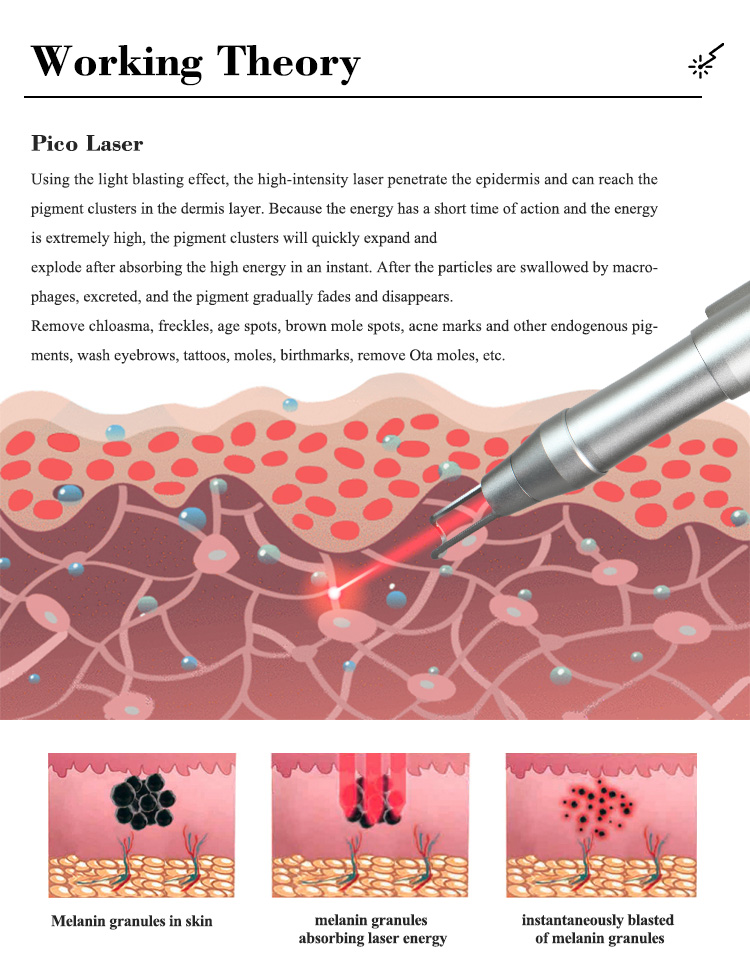 PL-268 英文详情 2.jpg
